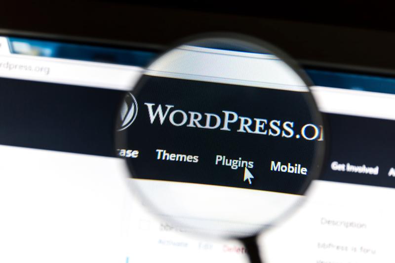 What is WordPress